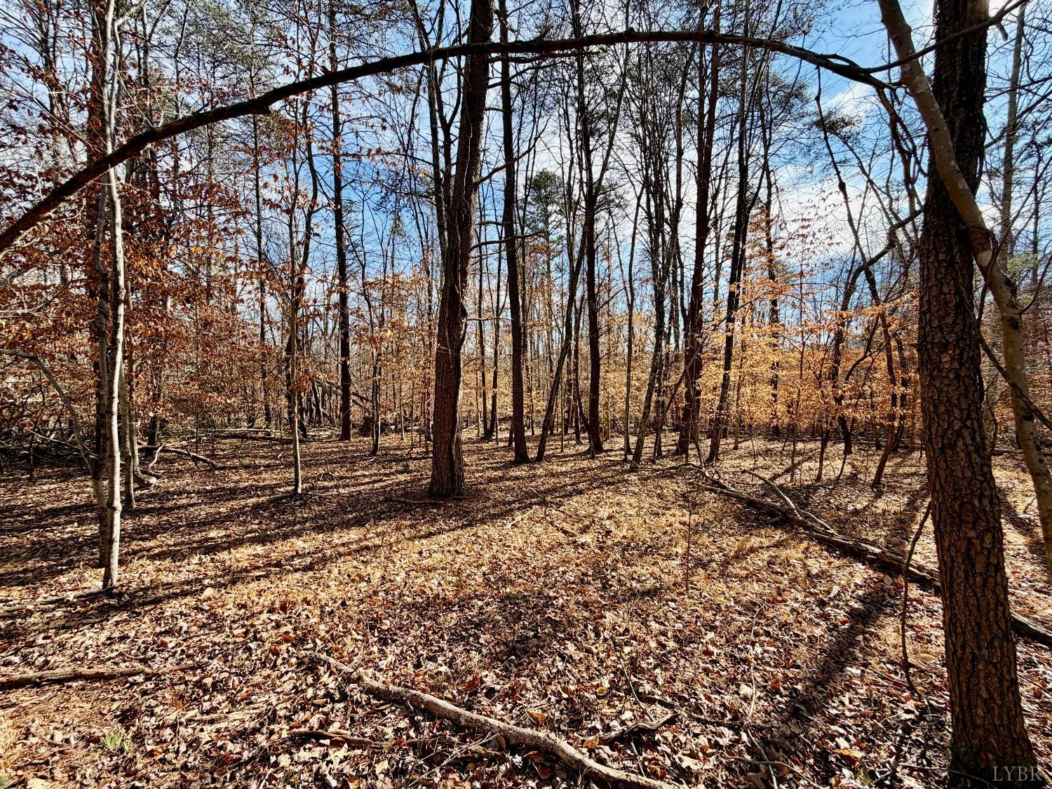 0 Salem Road Schuyler, VA 22969 - Photo 2 of 40