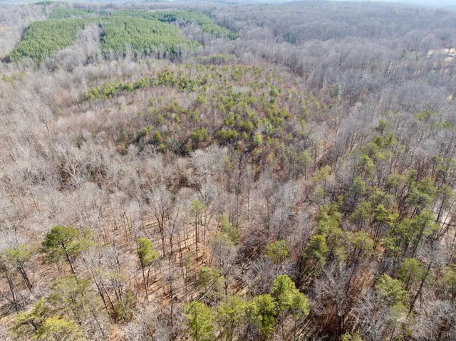 $40,000 | 0 Salem Road, Schuyler, VA 22969