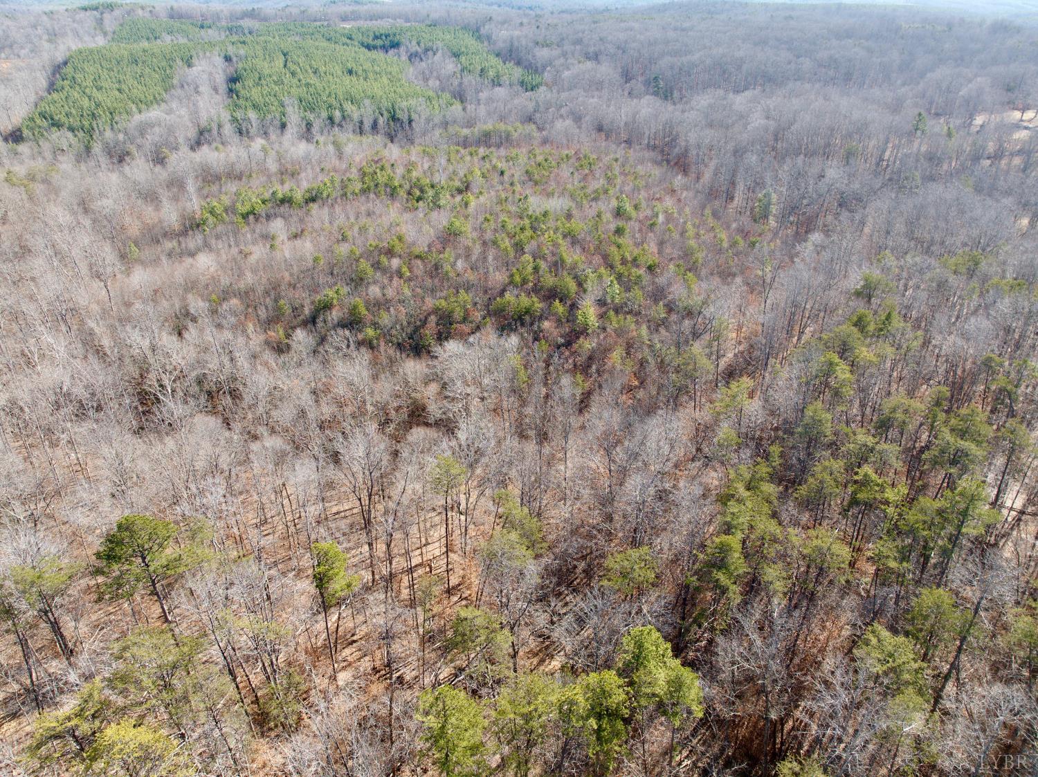 0 Salem Road Schuyler, VA 22969 - Photo 26 of 40