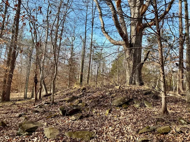 $40,000 | 0 Salem Road, Schuyler, VA 22969