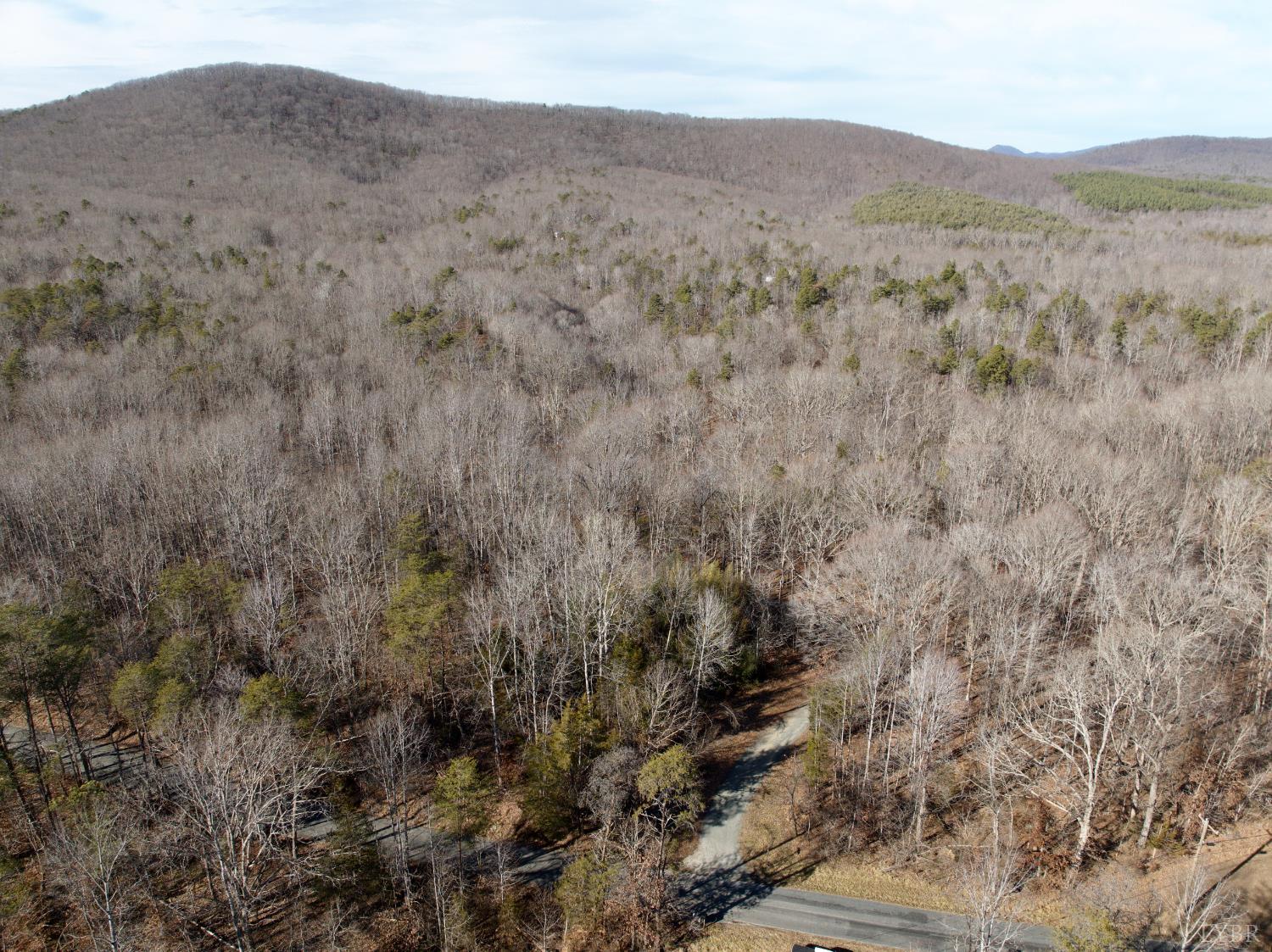 0 Salem Road Schuyler, VA 22969 - Photo 30 of 40