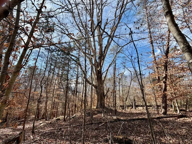 $40,000 | 0 Salem Road, Schuyler, VA 22969