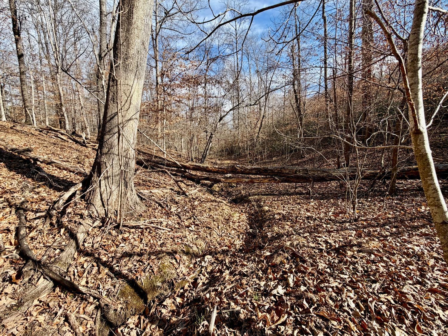 0 Salem Road Schuyler, VA 22969 - Photo 3 of 40