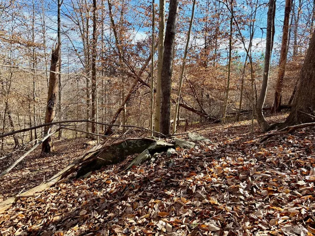 $40,000 | 0 Salem Road, Schuyler, VA 22969