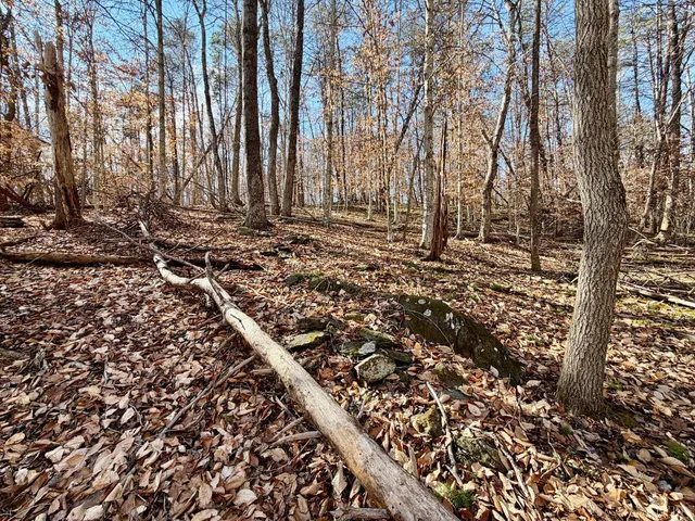 $40,000 | 0 Salem Road, Schuyler, VA 22969