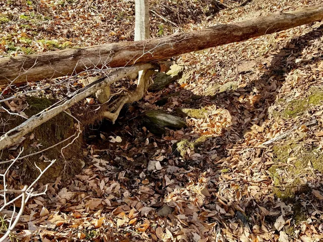 $40,000 | 0 Salem Road, Schuyler, VA 22969