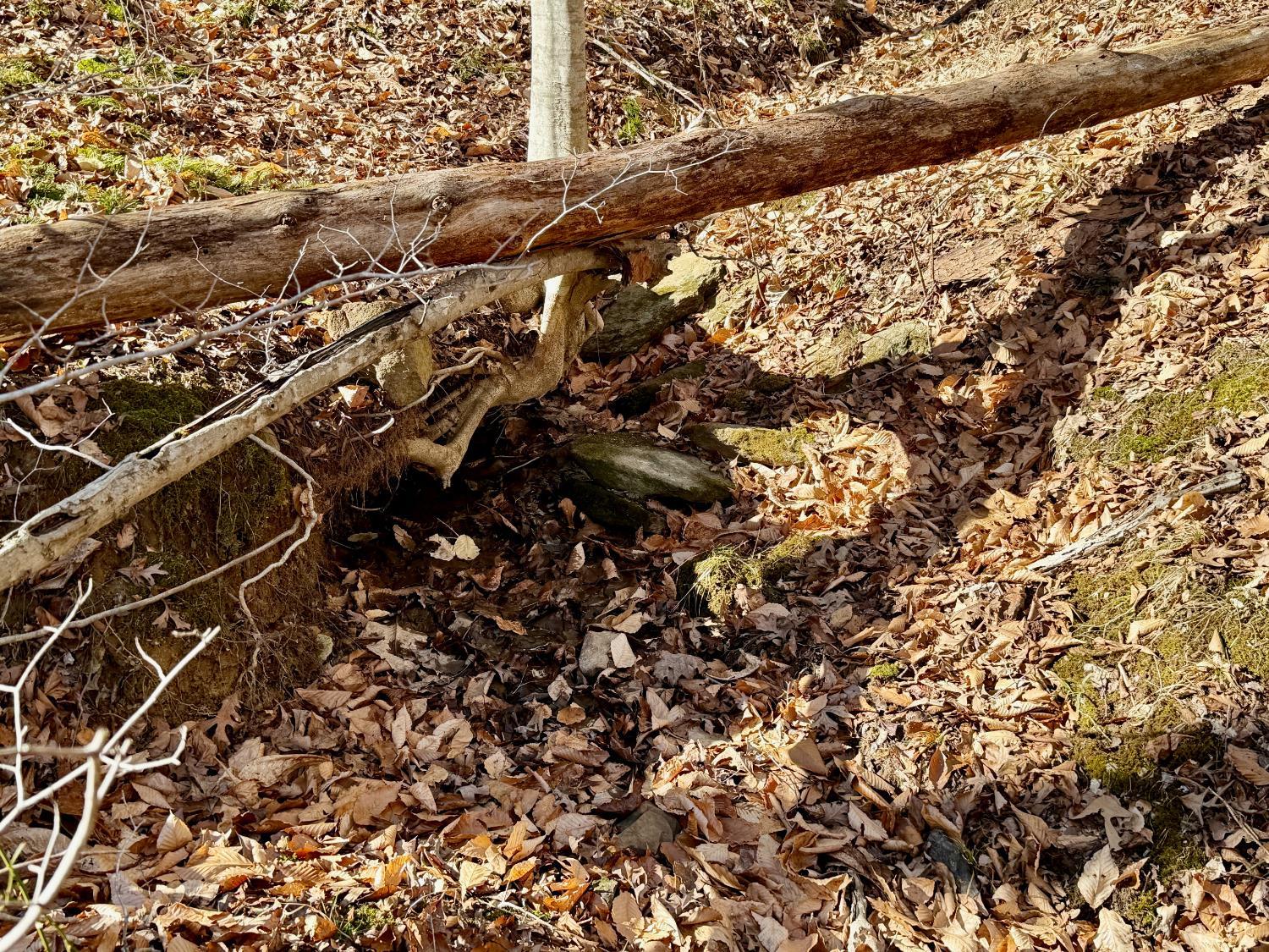 0 Salem Road Schuyler, VA 22969 - Photo 35 of 40