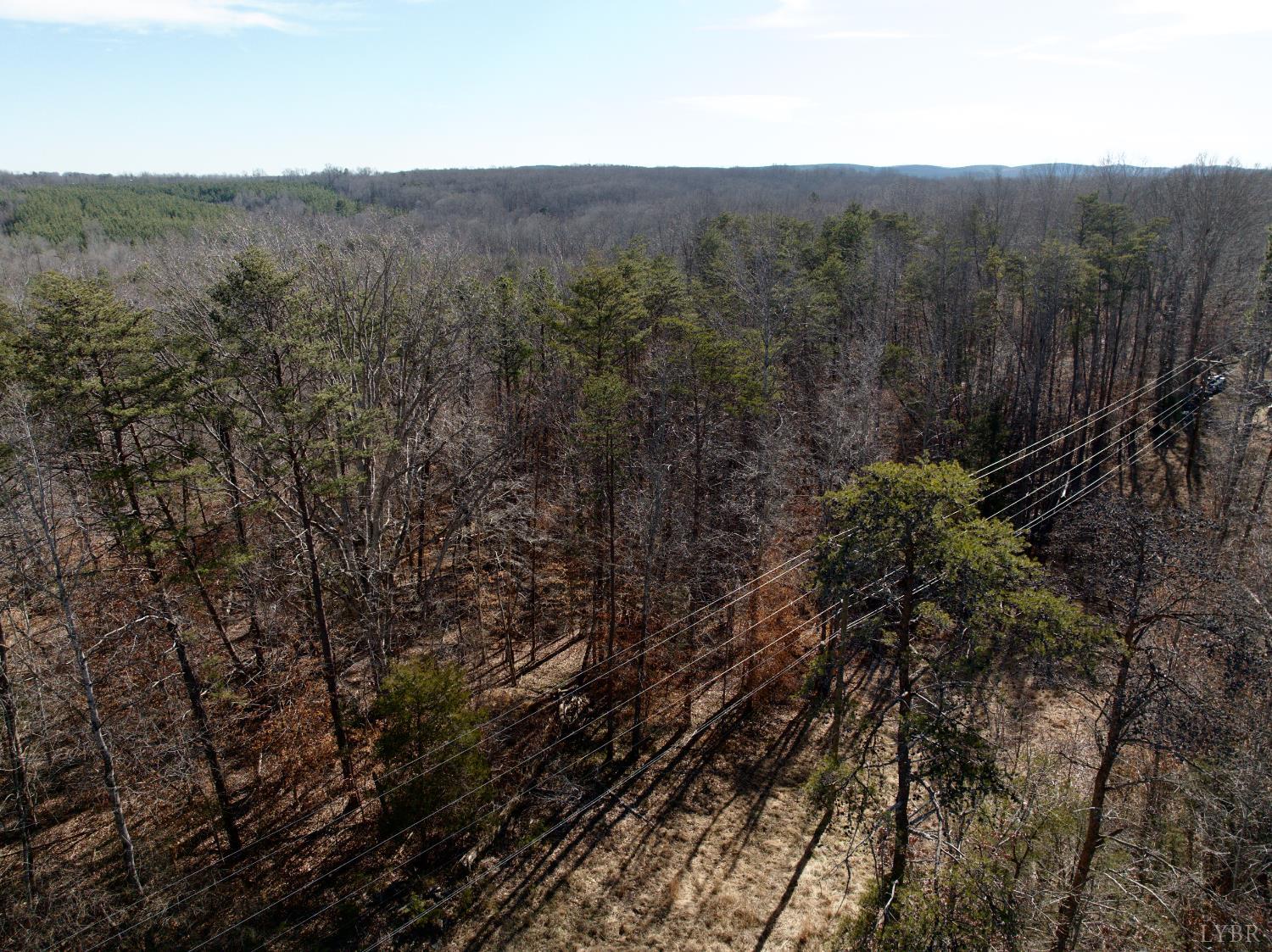 0 Salem Road Schuyler, VA 22969 - Photo 35 of 40