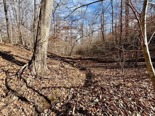 $40,000 | 0 Salem Road, Schuyler, VA 22969