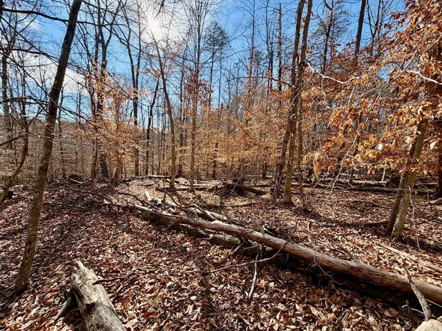 $40,000 | 0 Salem Road, Schuyler, VA 22969