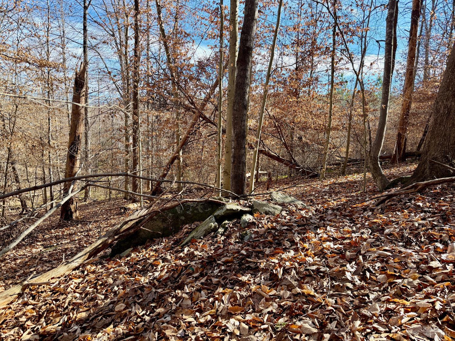 0 Salem Road Schuyler, VA 22969 - Photo 38 of 40