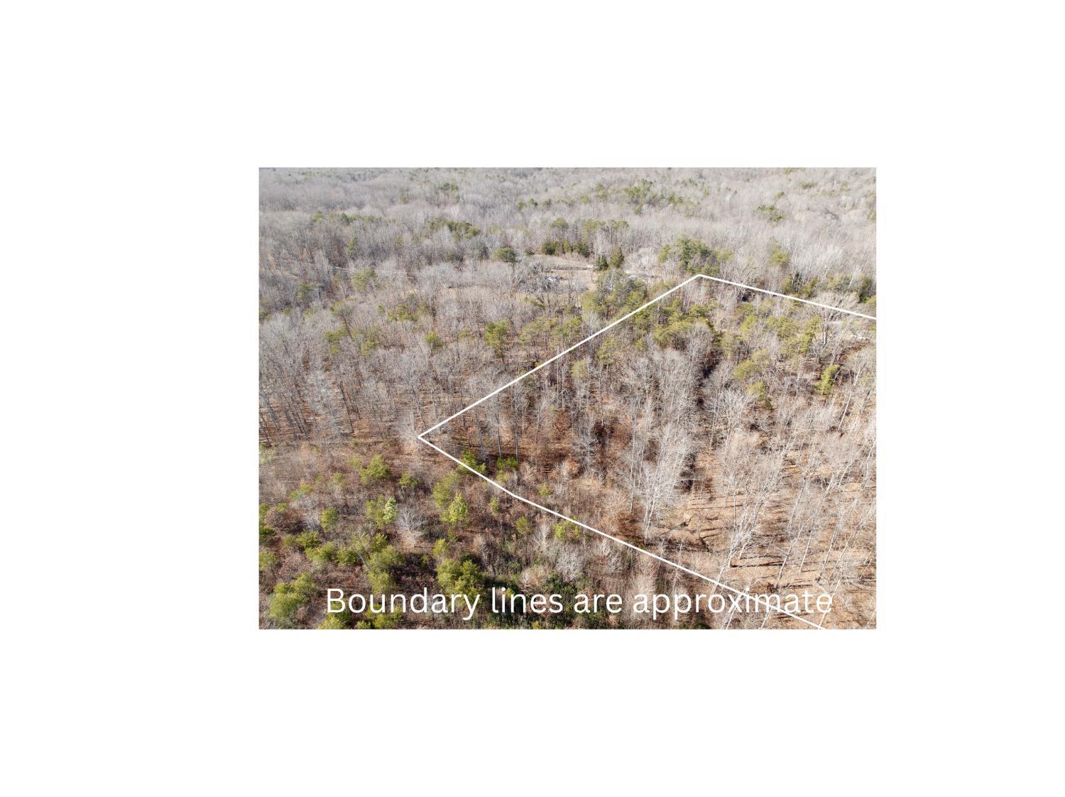 0 Salem Road Schuyler, VA 22969 - Photo 5 of 40