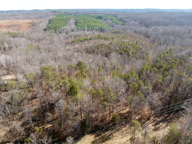 $40,000 | 0 Salem Road, Schuyler, VA 22969