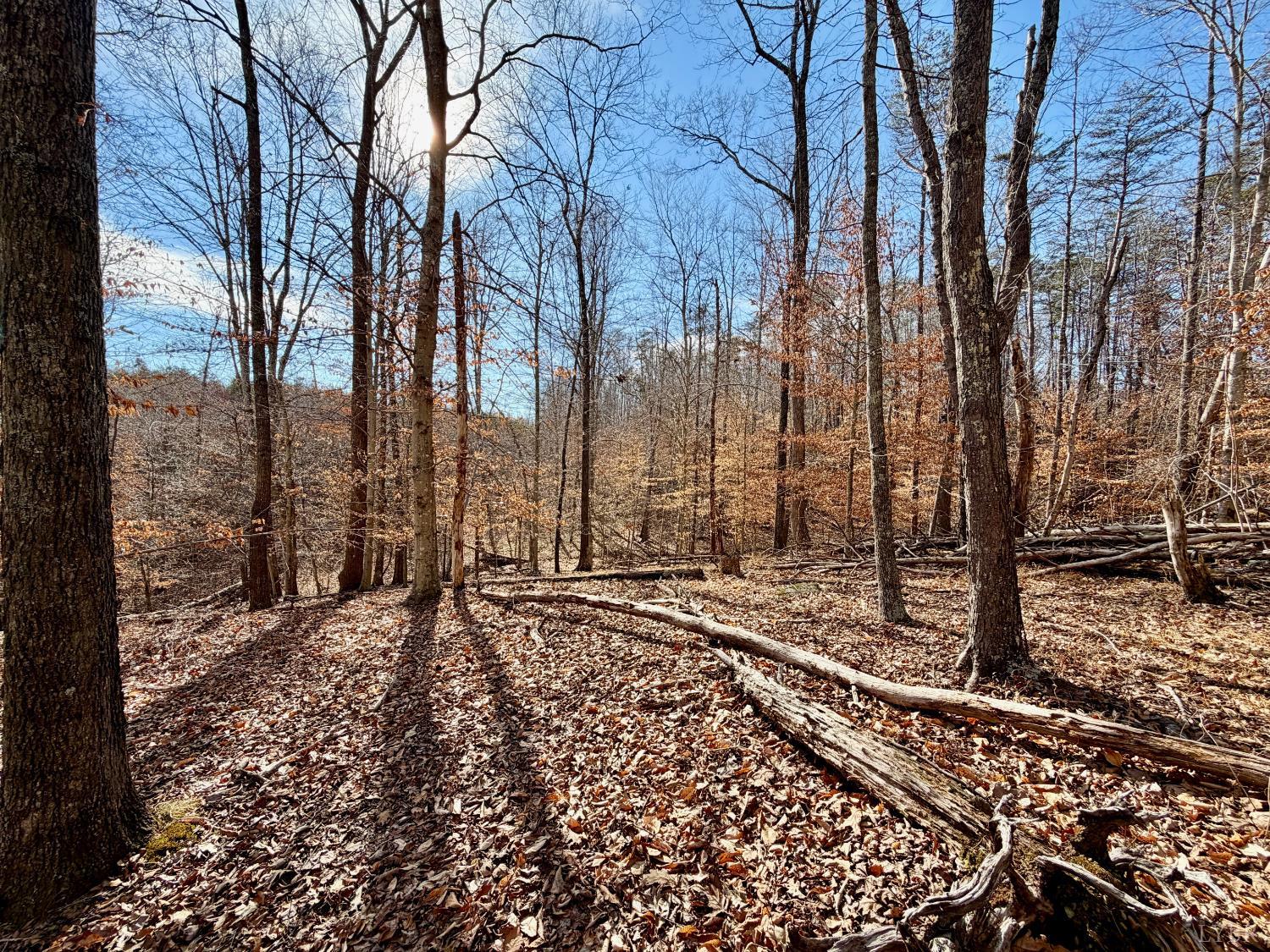 0 Salem Road Schuyler, VA 22969 - Photo 7 of 40