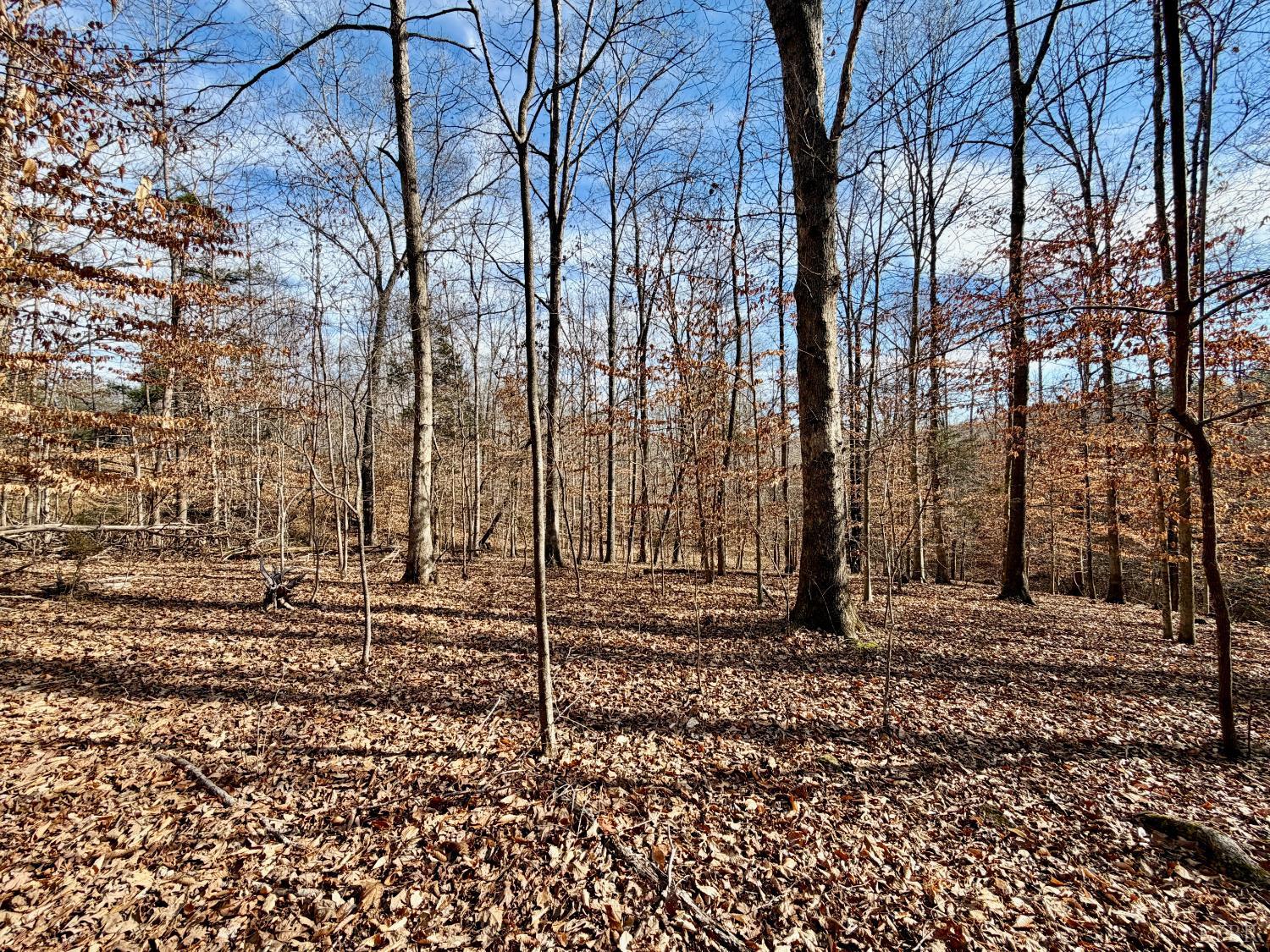 0 Salem Road Schuyler, VA 22969 - Photo 9 of 40