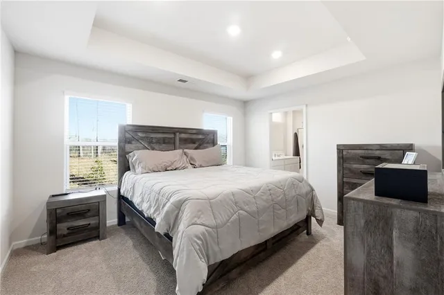 a bedroom with a bed and a couch