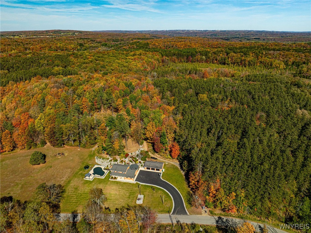 9681 Wagner Road Holland, NY 14080 - Photo 3 of 50