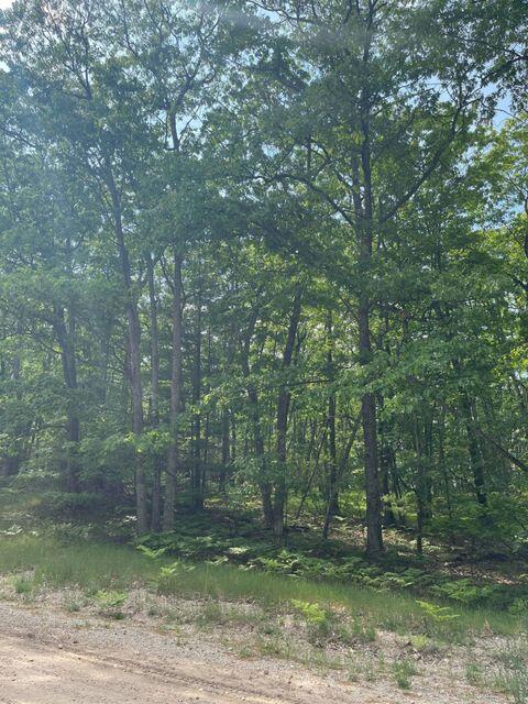 Lot #83 Sitzmark Drive Spruce, MI 48762 - Photo 4 of 5 Gallery Image 4