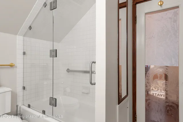 a bathroom with a shower and a toilet