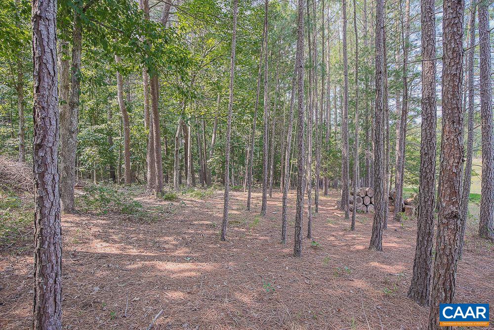 2300 Gobblers Ridge Charlottesville, VA 22902 - Photo 36 of 37 a view of outdoor space and trees