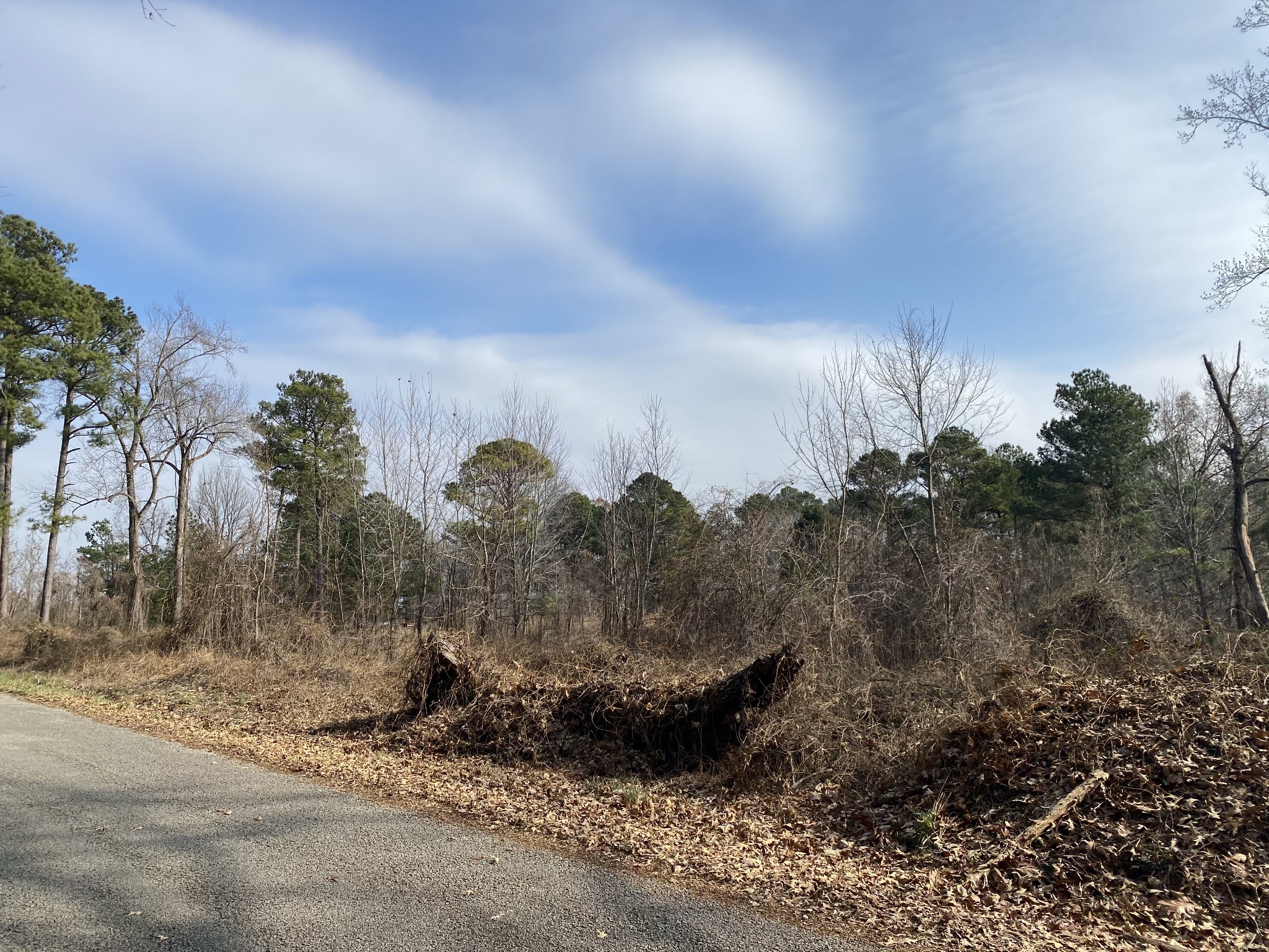 0 Meadows Road Henry, TN 38231 - Photo 2 of 4 Gallery Image 2