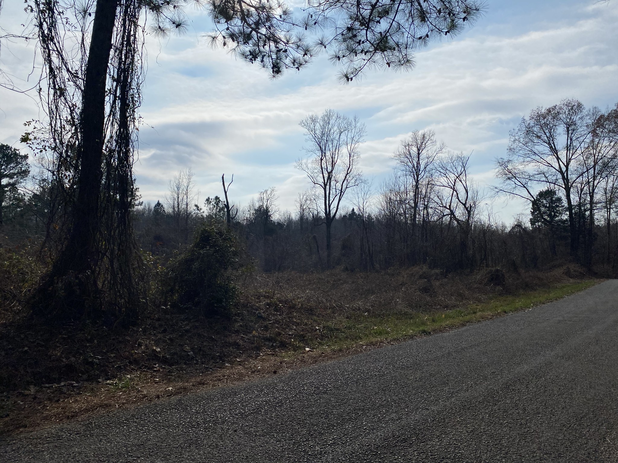 0 Meadows Road Henry, TN 38231 - Photo 3 of 4 Gallery Image 3