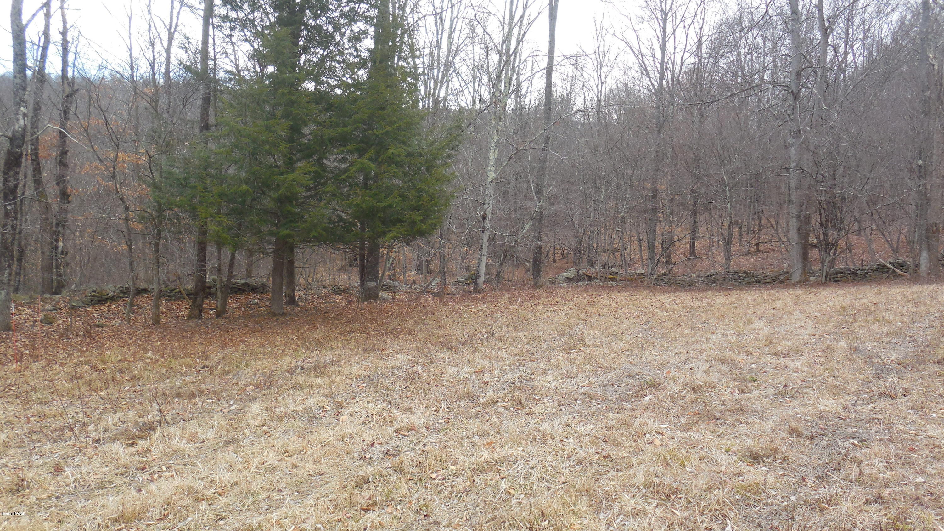 352 Hellmers Hill Road Equinunk, PA 18417 - Photo 28 of 34
