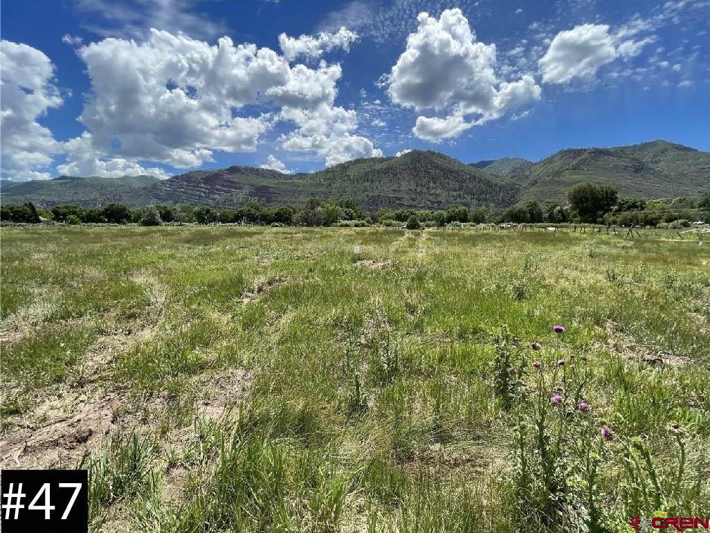 90 West Dalton Road Durango, CO 81301 - Photo 3 of 32