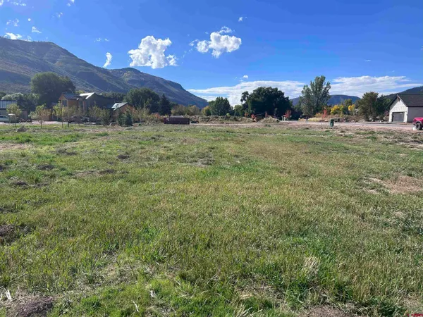 a view of a big yard with potted plants