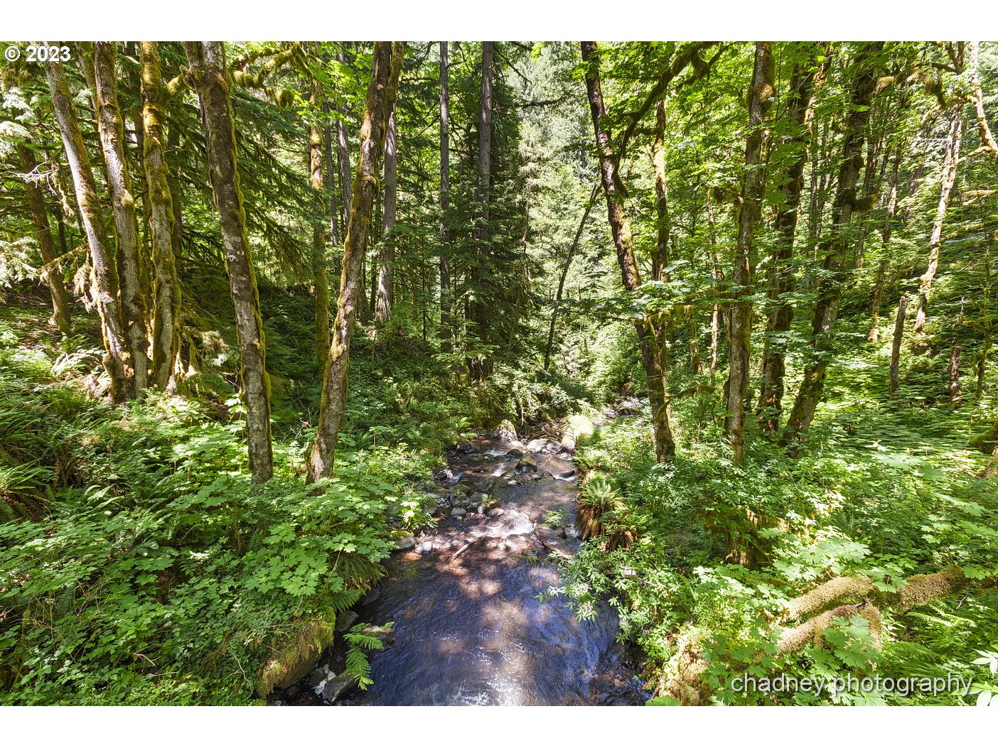 2847 Northeast Brower Road Corbett, OR 97019 - Photo 39 of 48 a view of a yard