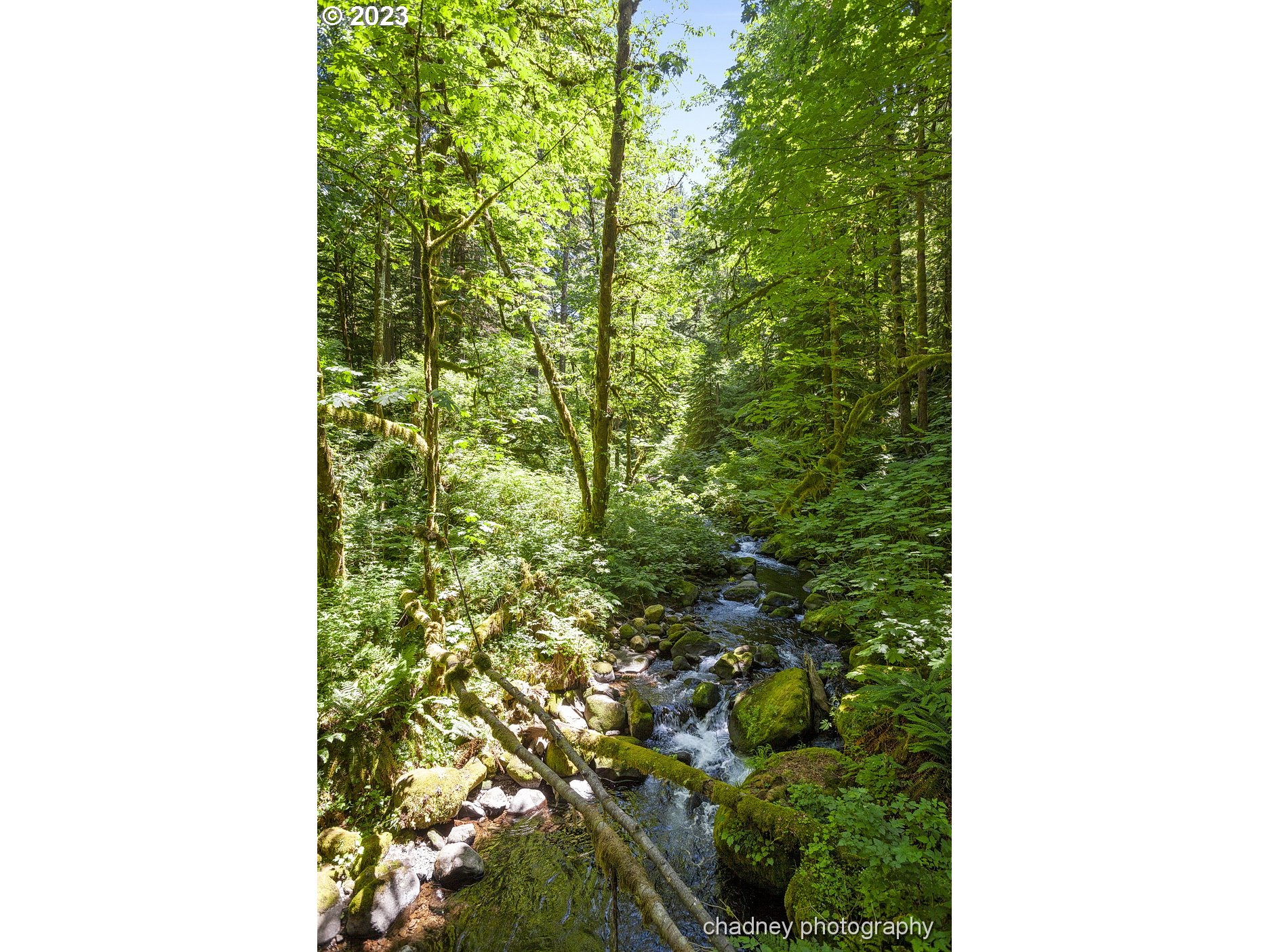 2847 Northeast Brower Road Corbett, OR 97019 - Photo 40 of 48 a picture of a city from a window