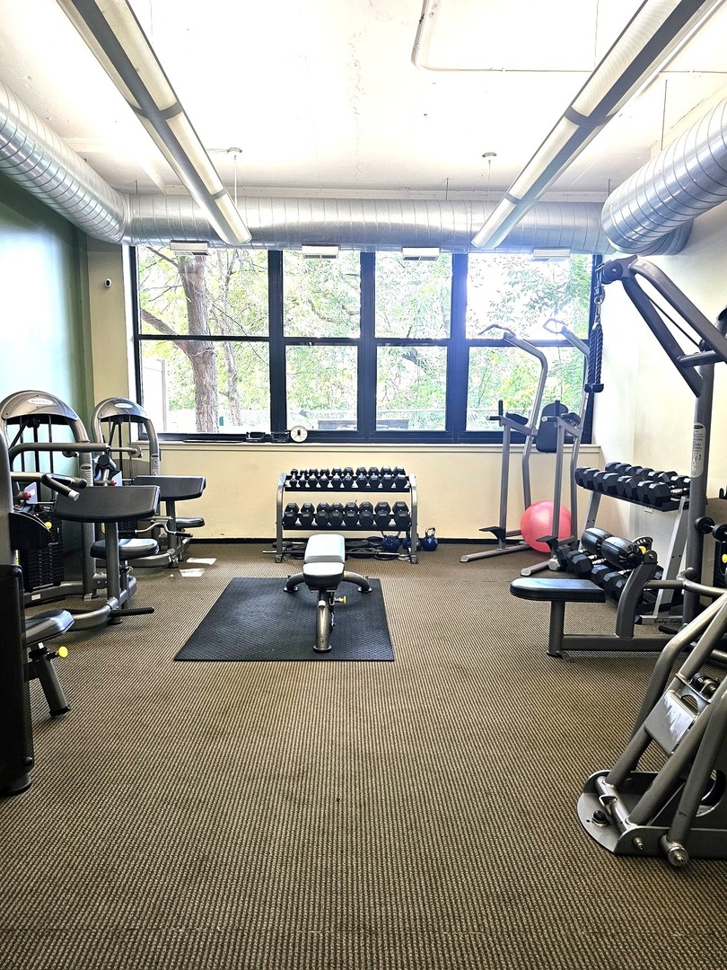 2323 West Pershing Road, Unit 230 Chicago, IL 60609 - Photo 37 of 39 a room with gym equipment and a large window