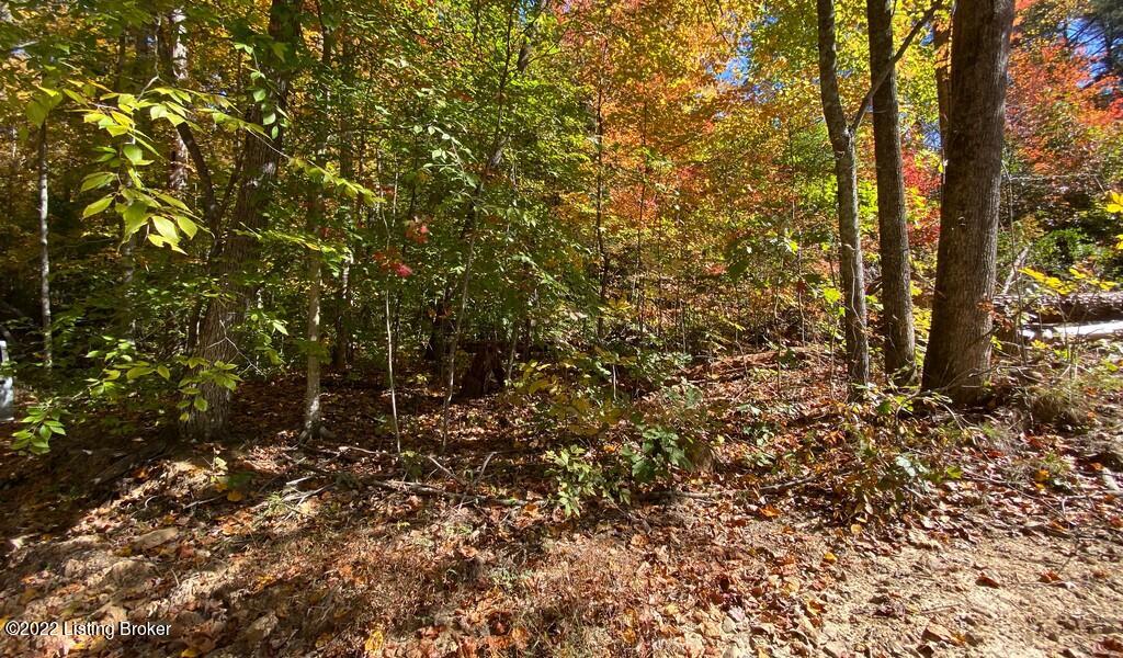 L14 Ted Logsdon Road Clarkson, KY 42726 - Photo 2 of 5 River View Fall90