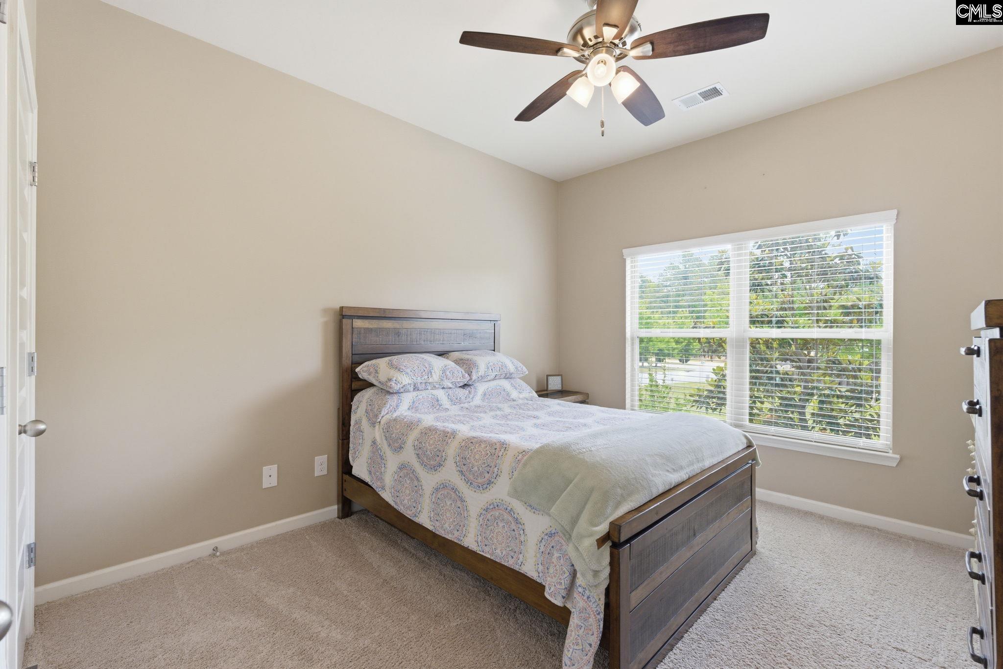 405 Lever Hill Road Chapin, SC 29036 - Photo 15 of 65