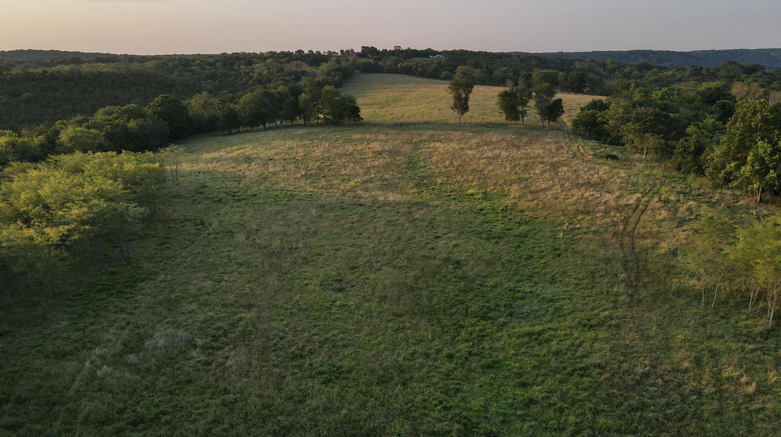 0 Quiet Acres Road Lampe, MO 65681 - Photo 13 of 56 Screenshot 2026-08-20 at 7.53.58AM