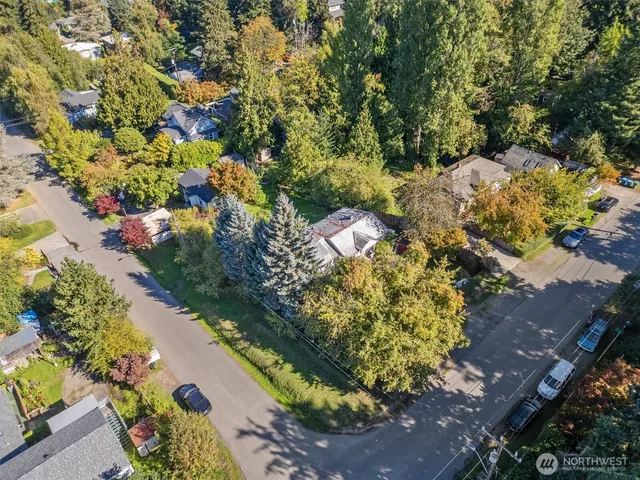 a picture of flowers