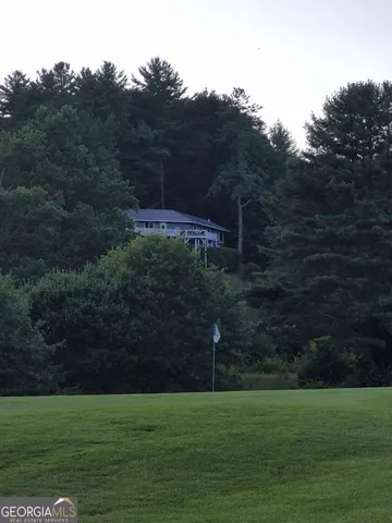 a view of a grassy area