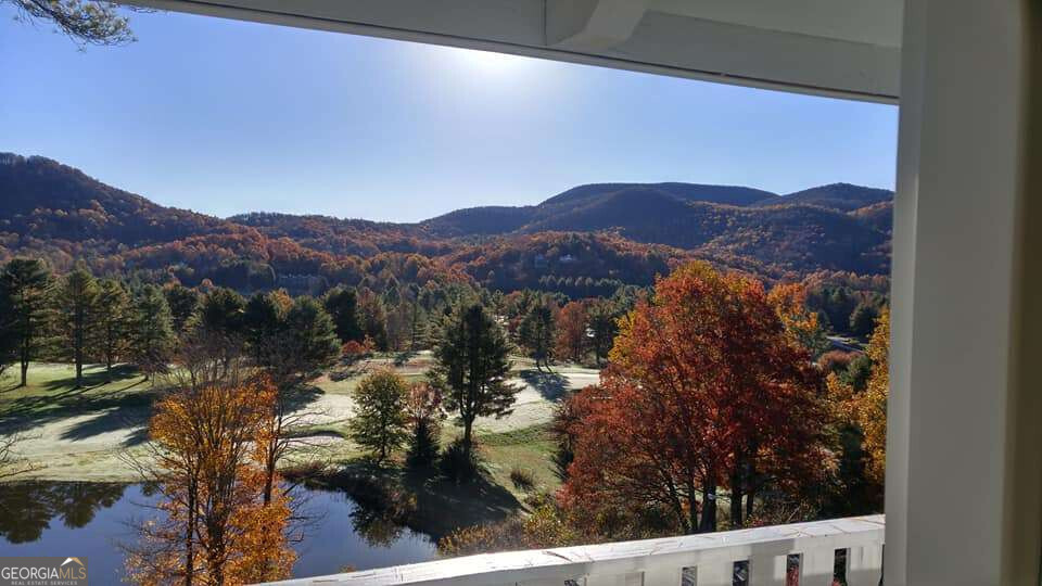 48 Little Bear Trail Dillard, GA 30537 - Photo 6 of 18