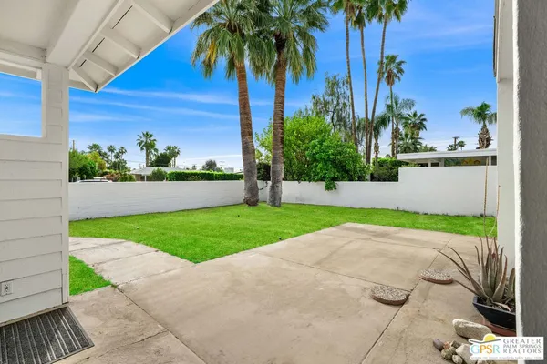 a view of a backyard with palm trees