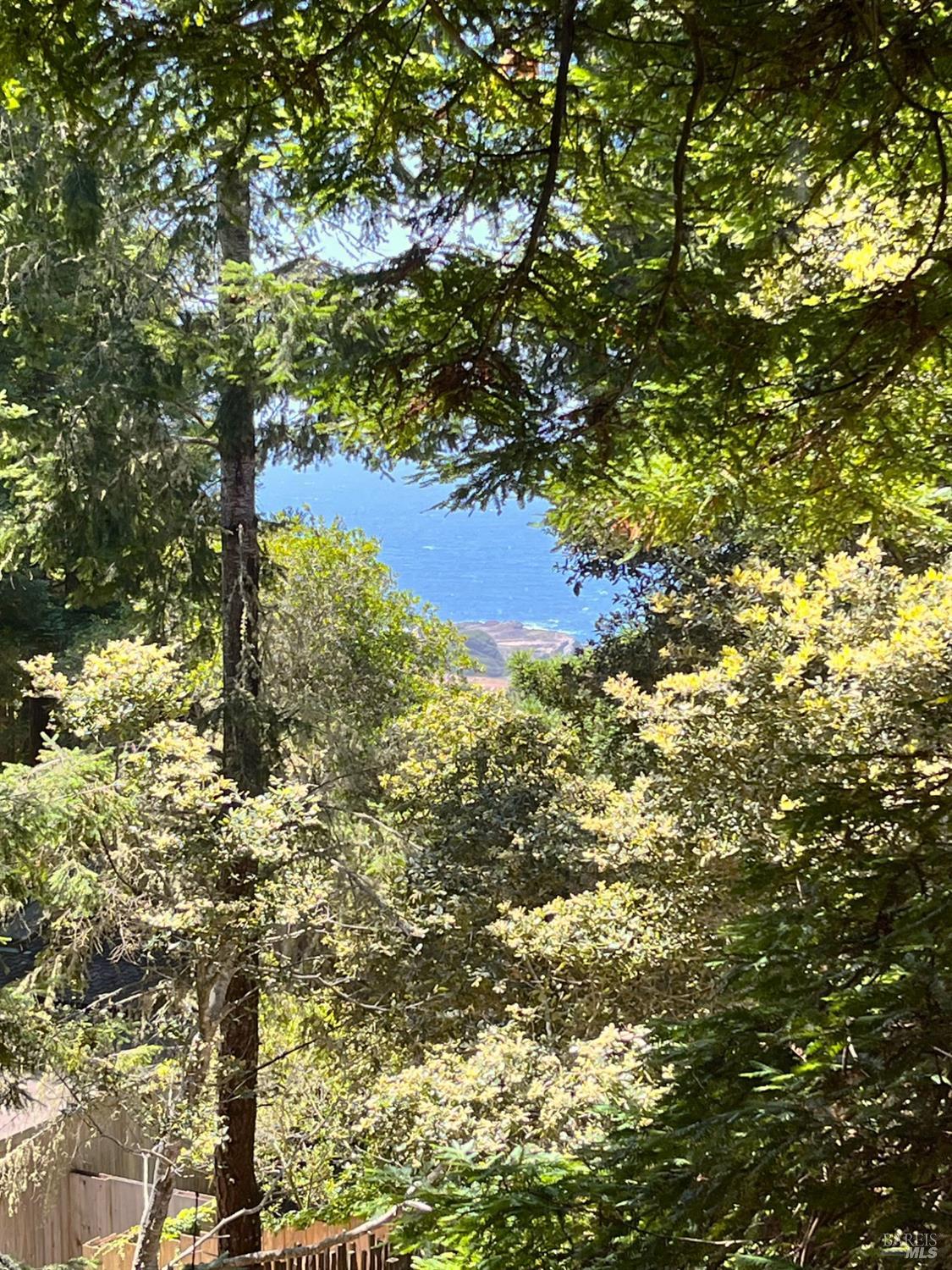 241 Moonraker Road The Sea Ranch, CA 95497 - Photo 50 of 55