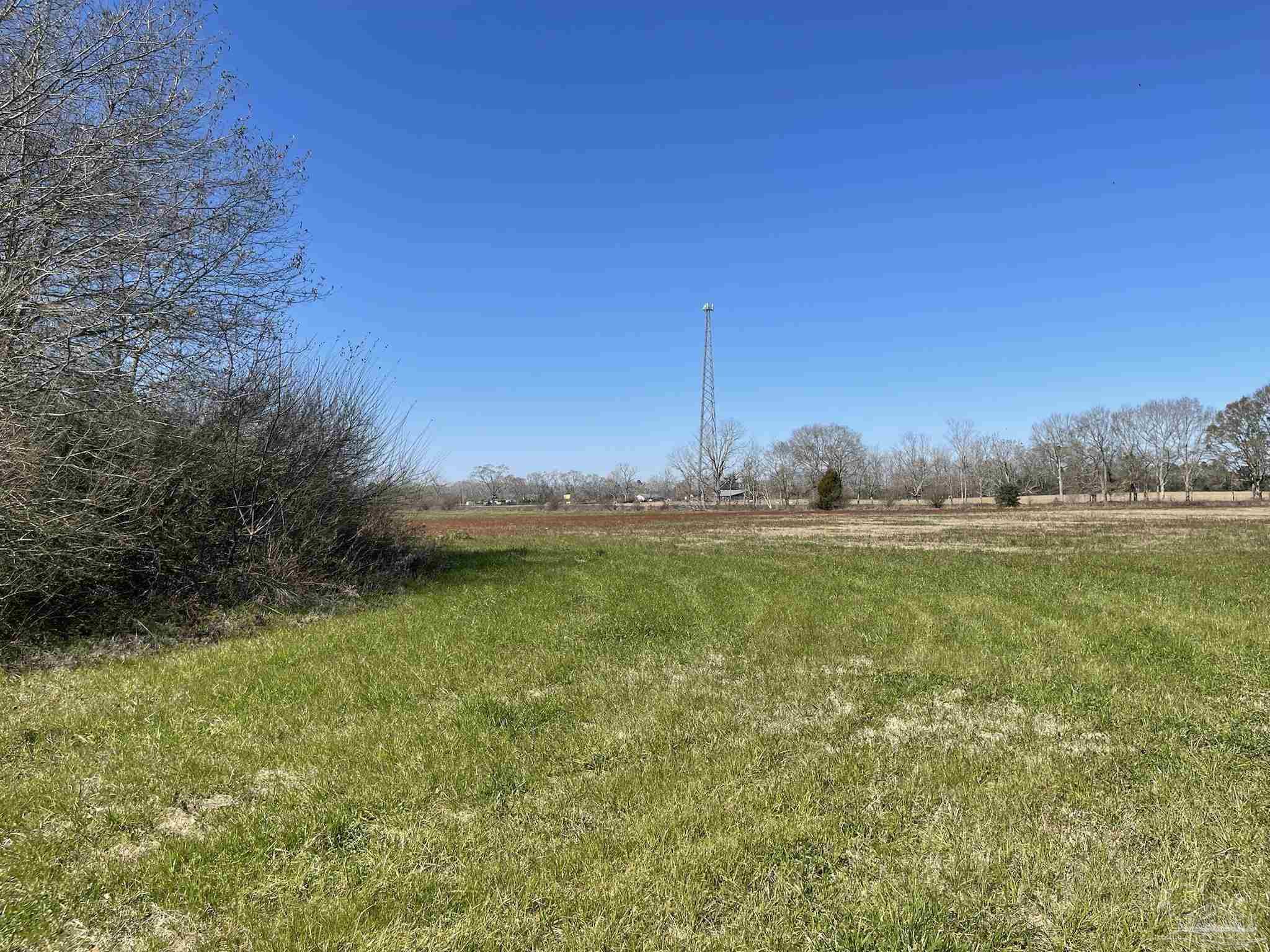 1 Cedarview Road, Unit PARCEL E Milton, FL 32570 - Photo 9 of 14 Gallery Image 9