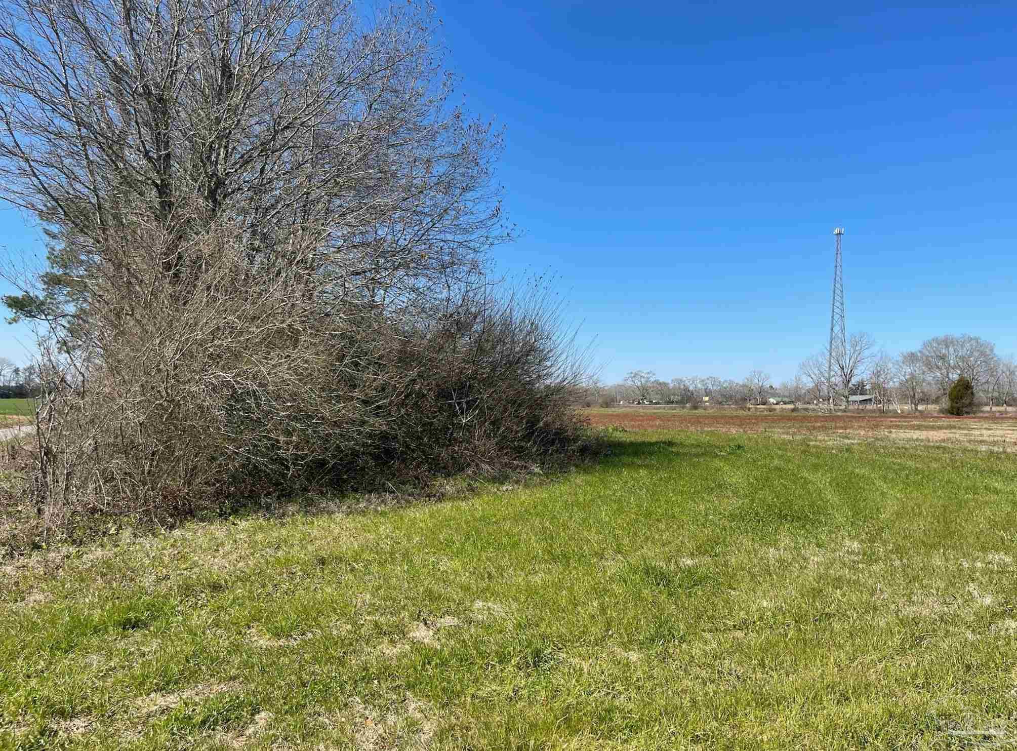 1 Cedarview Road, Unit PARCEL E Milton, FL 32570 - Photo 10 of 14 Gallery Image 10
