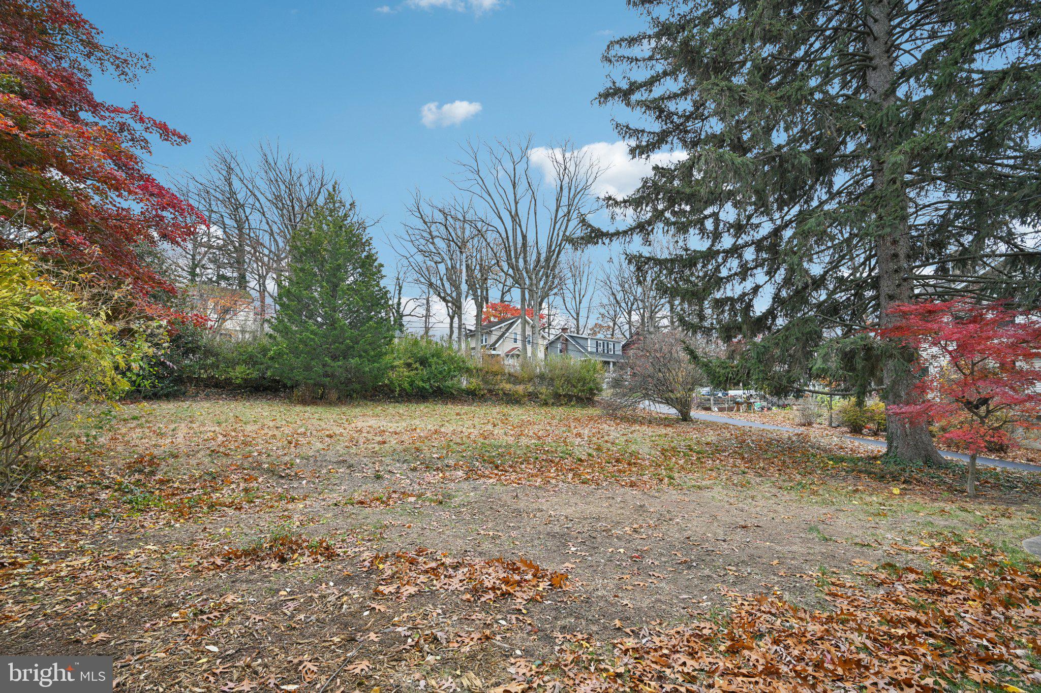 908 Edge Hill Road Glenside, PA 19038 - Photo 27 of 27 a view of a yard with a tree