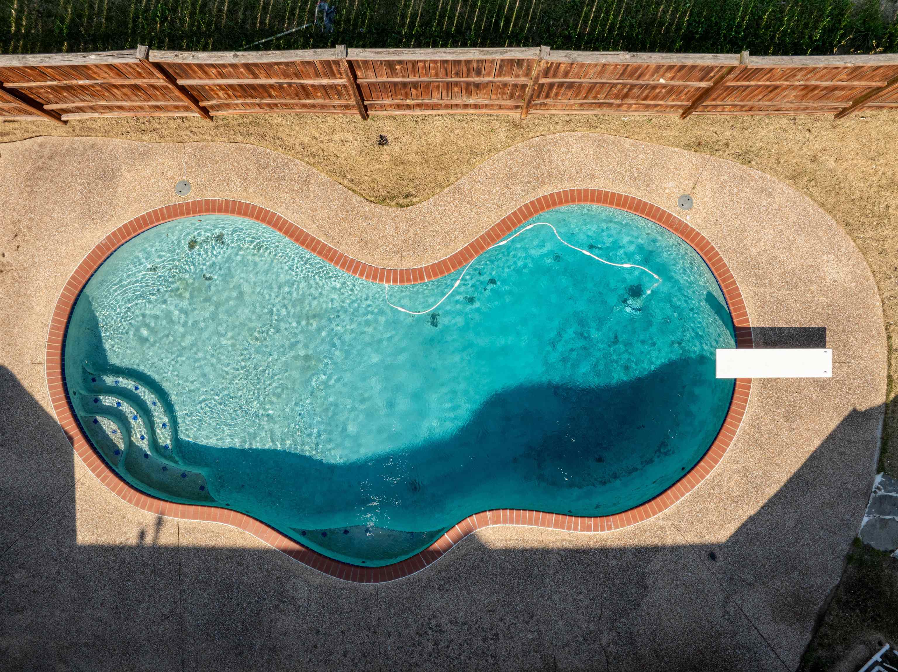 1042 Woodland Ridge Drive Cordova, TN 38018 - Photo 6 of 40 a view of a swimming pool with a garden