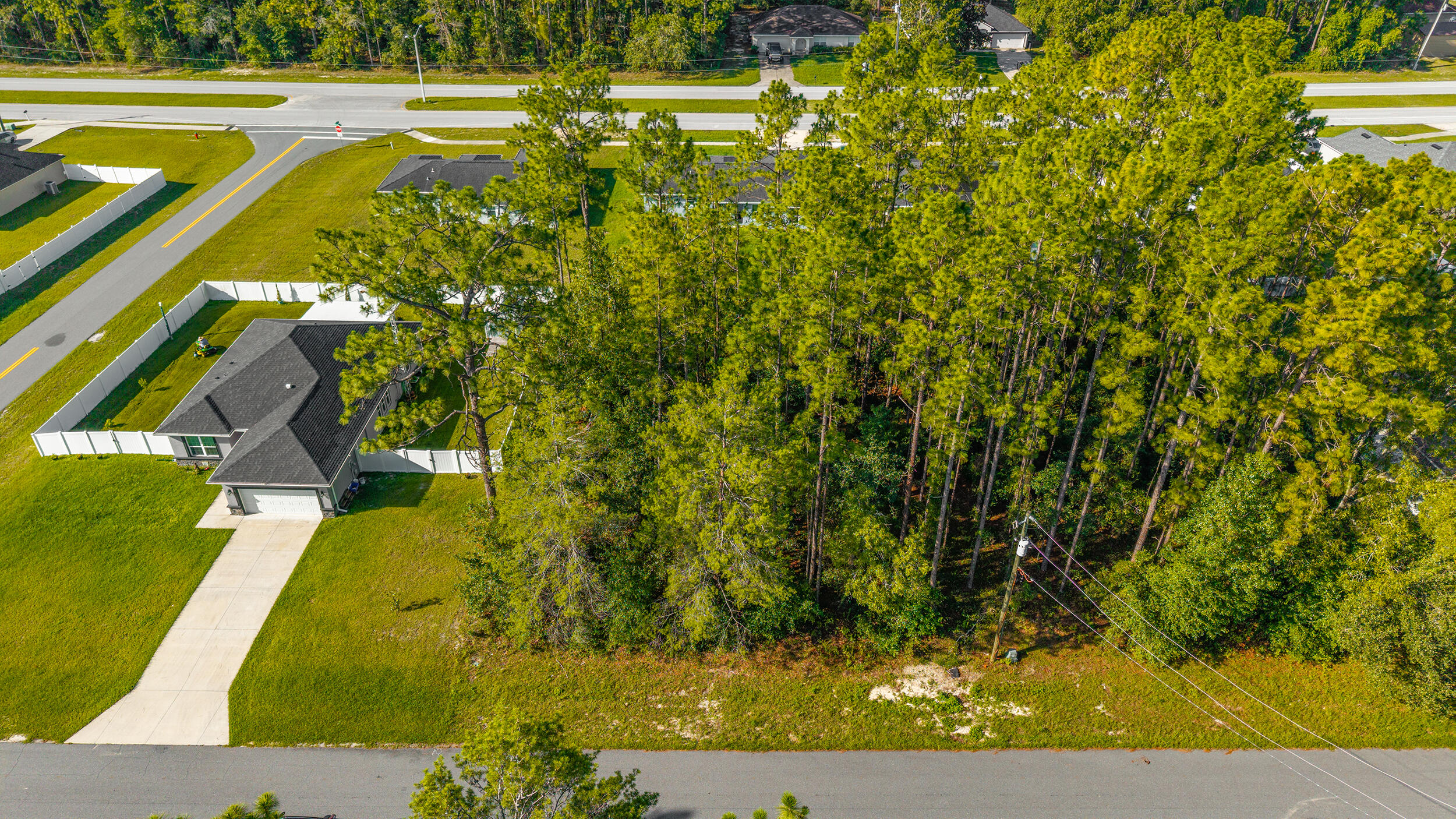 0 Southwest 129th Place Ocala, FL 34473 - Photo 2 of 6 Carol - Ocala Land Listing (2)