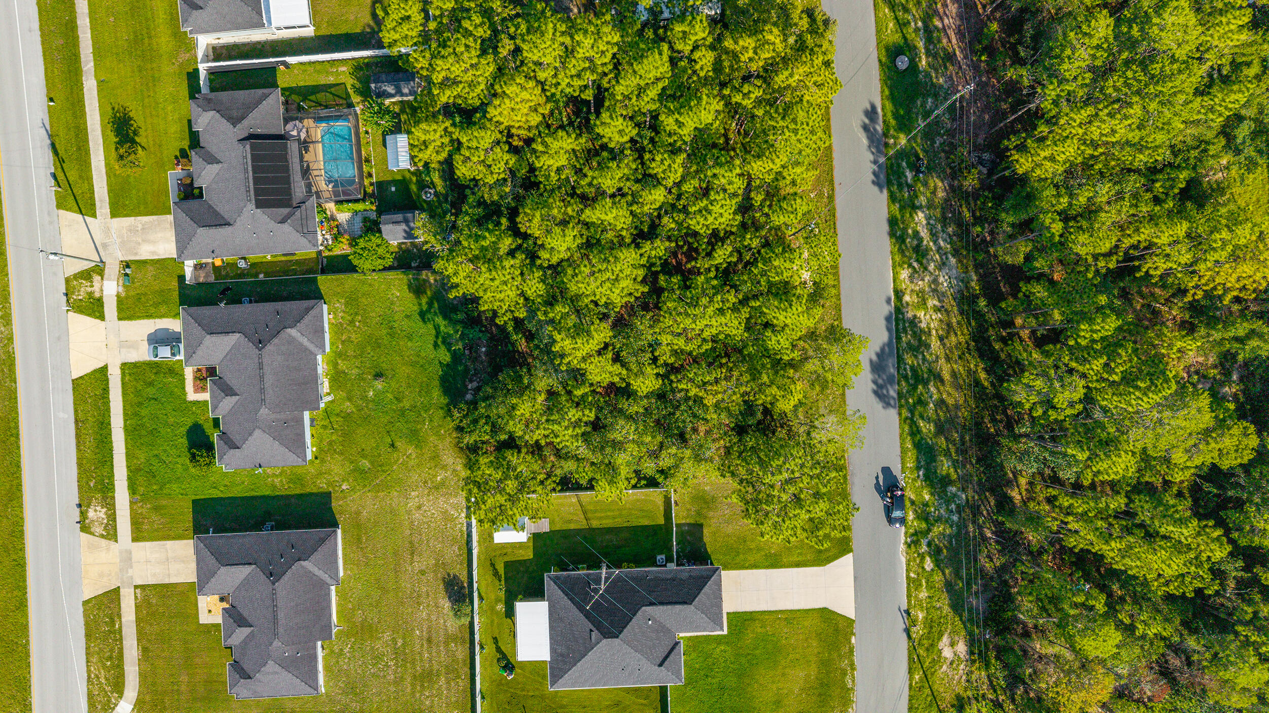 0 Southwest 129th Place Ocala, FL 34473 - Photo 3 of 6 Carol - Ocala Land Listing (3)