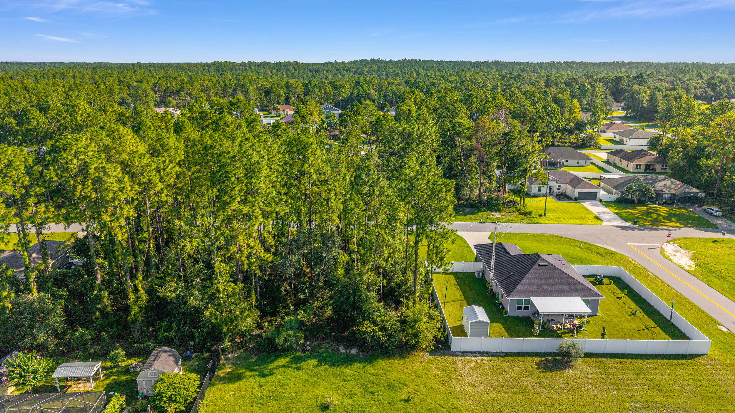 0 Southwest 129th Place Ocala, FL 34473 - Photo 4 of 6 Carol - Ocala Land Listing (4)