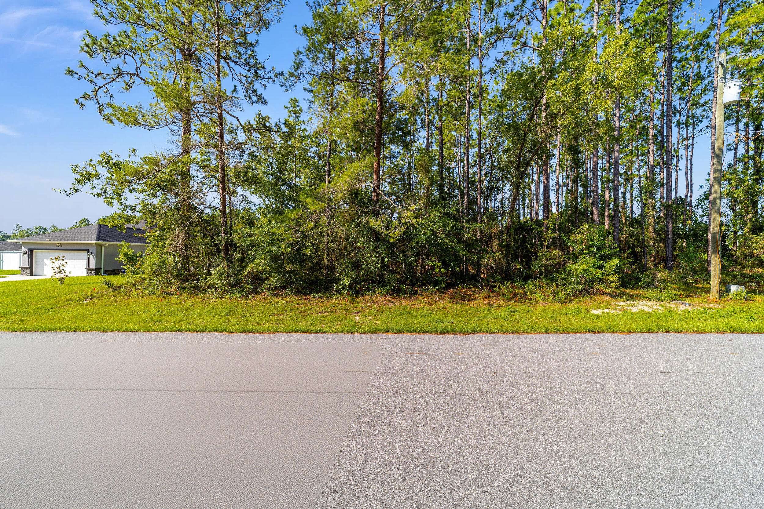 0 Southwest 129th Place Ocala, FL 34473 - Photo 6 of 6 Carol - Ocala Land Listing (6)