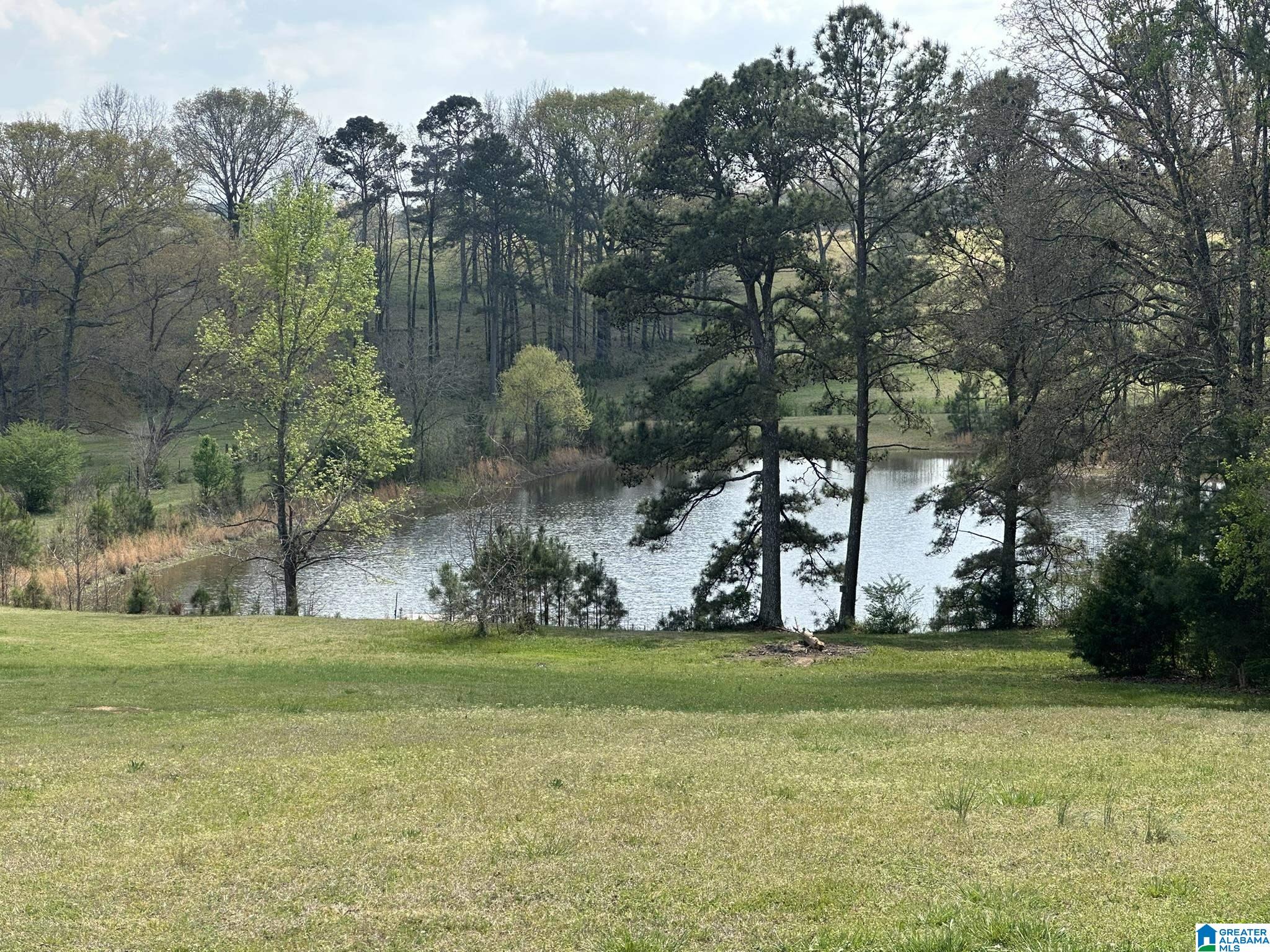 75 Mary Lee Lane Alpine, AL 35014 - Photo 20 of 77
