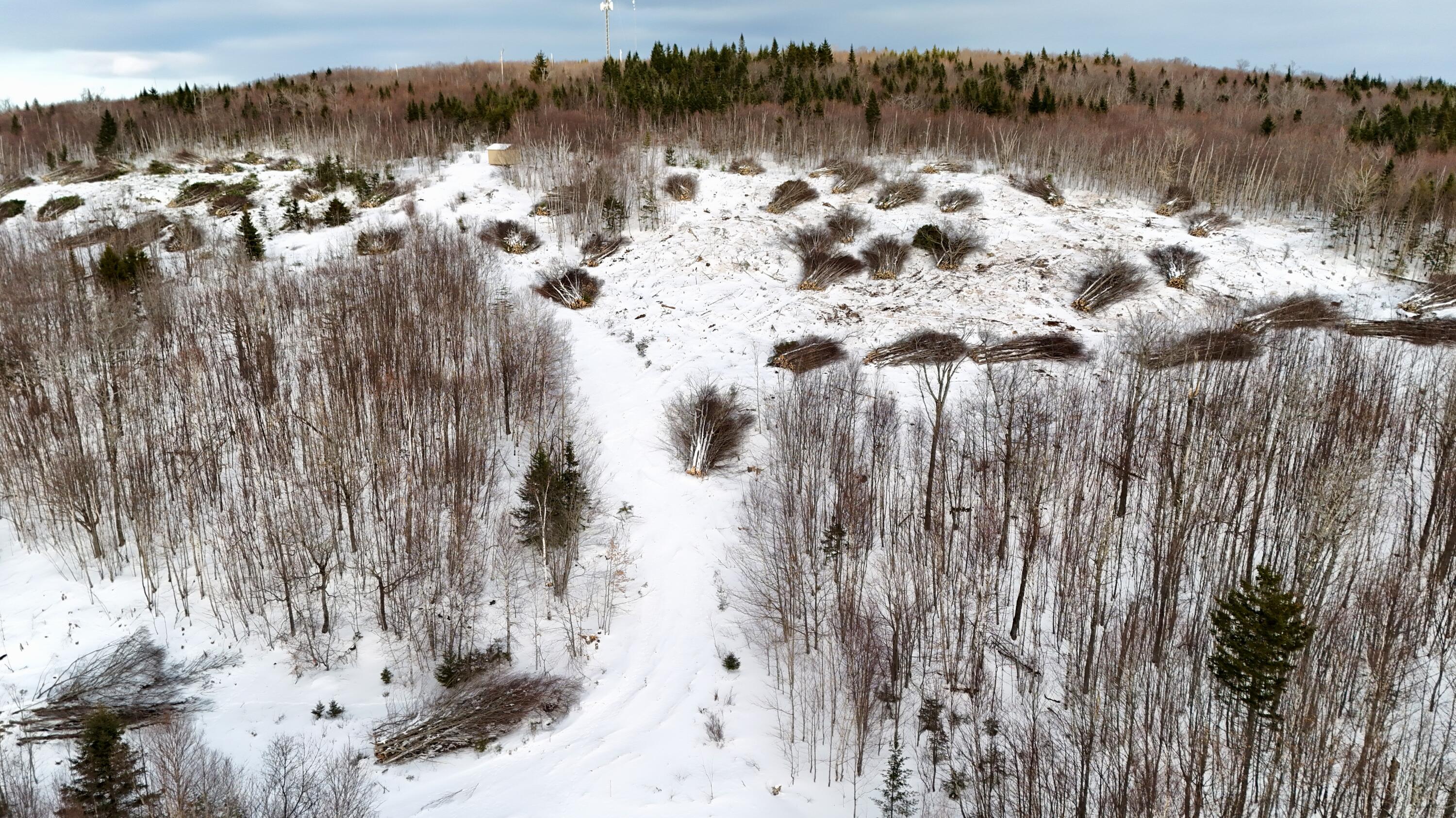 Lot 10 Blair Hill Road Greenville, ME 04441 - Photo 11 of 12 DJI_20251216144849_0452_D